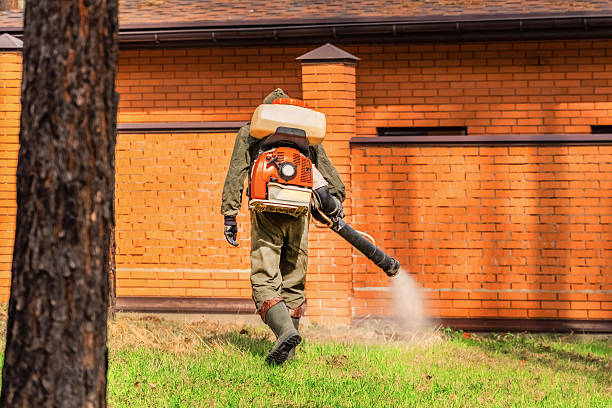 Bed Bug Clearance Verification and Documentation in Washington Terrace